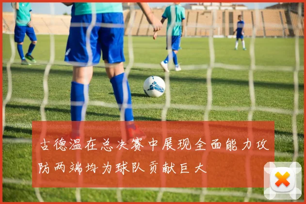 古德温在总决赛中展现全面能力攻防两端均为球队贡献巨大