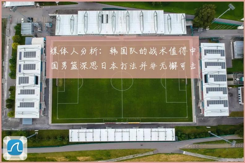 媒体人分析：韩国队的战术值得中国男篮深思日本打法并非无懈可击