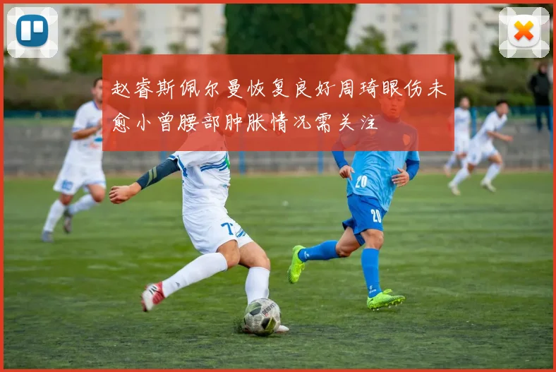 赵睿斯佩尔曼恢复良好周琦眼伤未愈小曾腰部肿胀情况需关注